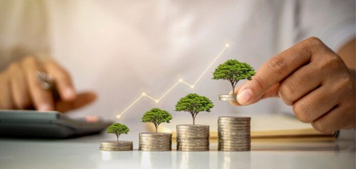 What Are the Common Types of Investment?